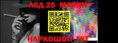 гидра Ставрополь