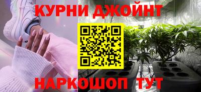гидра Ставрополь