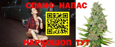 индика Старая Купавна