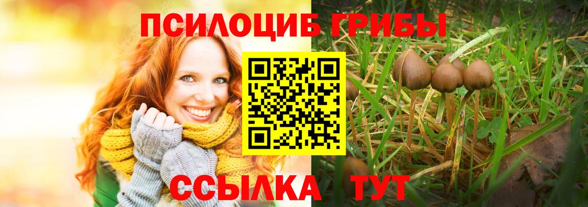 Псилоцибиновые грибы GOLDEN TEACHER  купить наркотики сайты  Бирск  Вход с VPN 